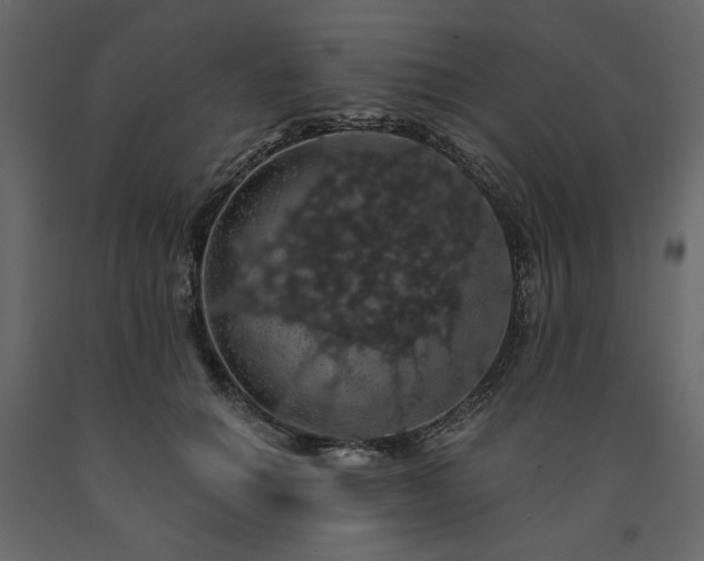 X0000091530654200708241713
