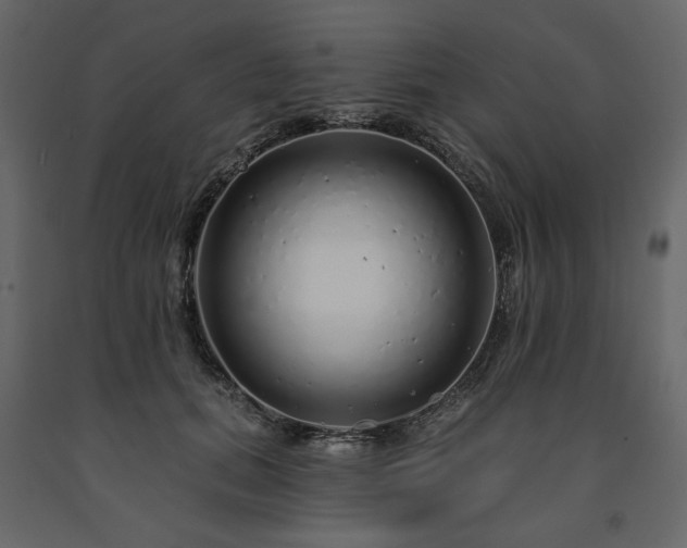 X0000091530655200708241713