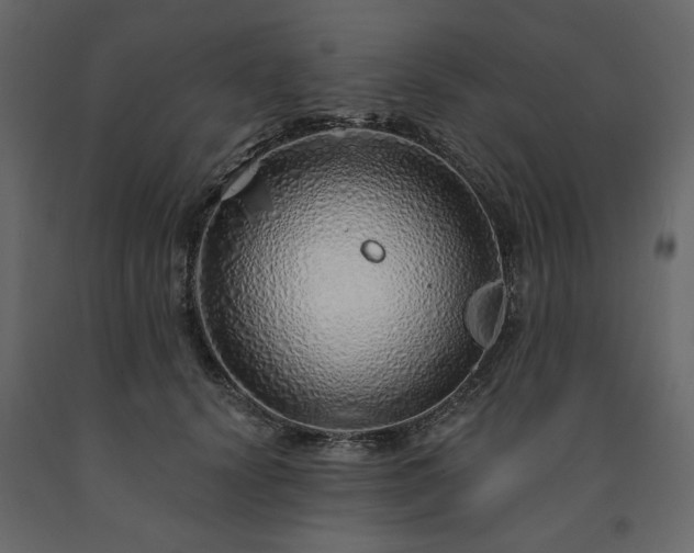 X0000091530656200708241713
