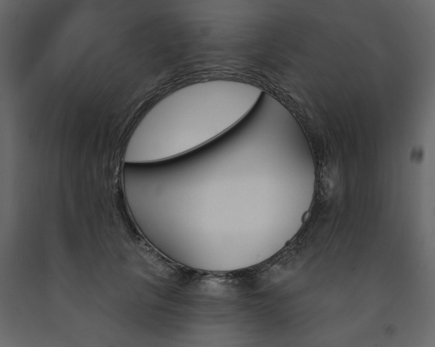 X0000091530657200708241713