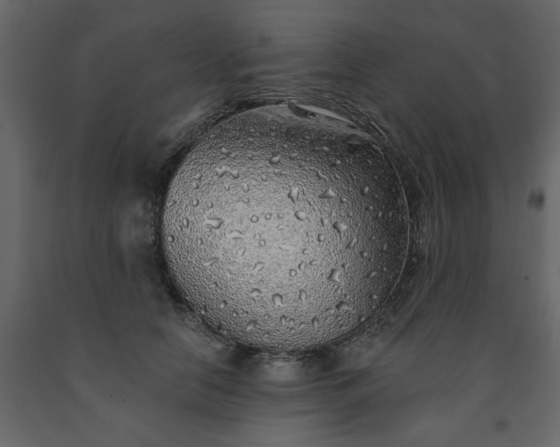 X0000091530658200708241713
