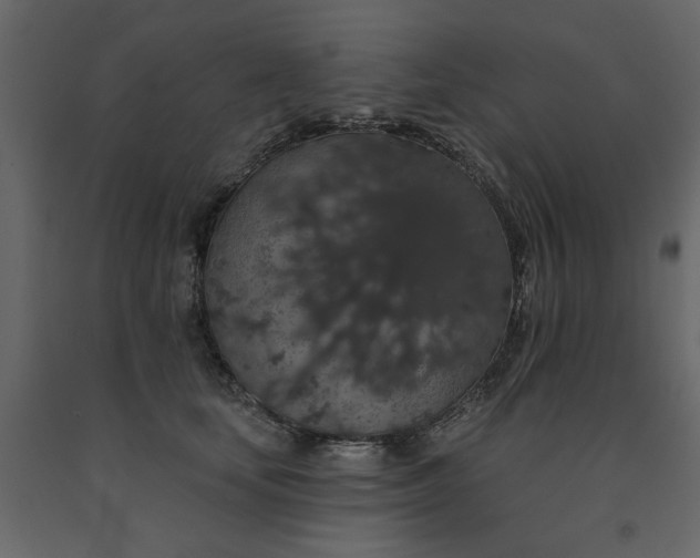 X0000091530659200708241713