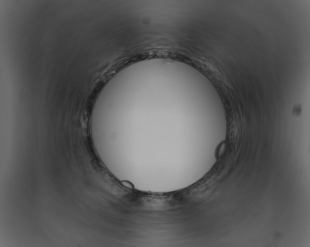 X0000091530661200708241713
