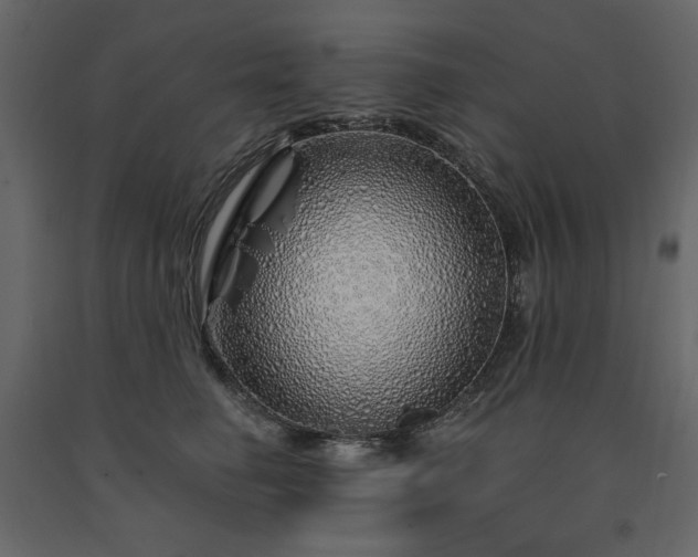X0000091530662200708241713