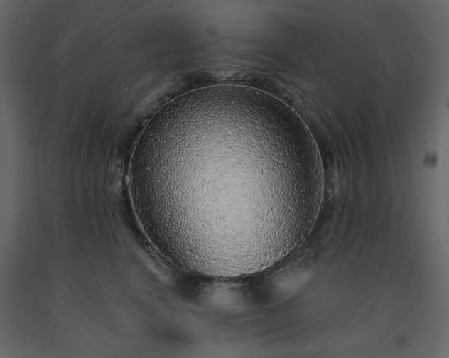 X0000091530664200708241713