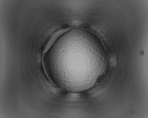 X0000091530665200708241713