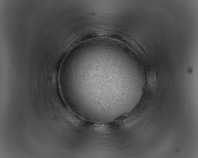 X0000091530667200708241713