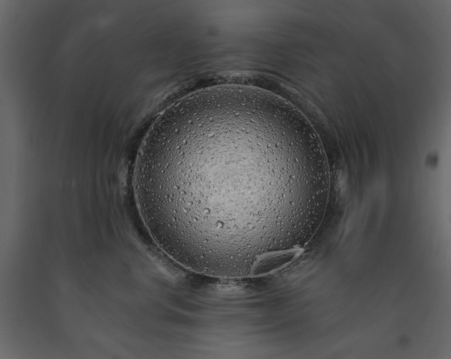 X0000091530668200708241713