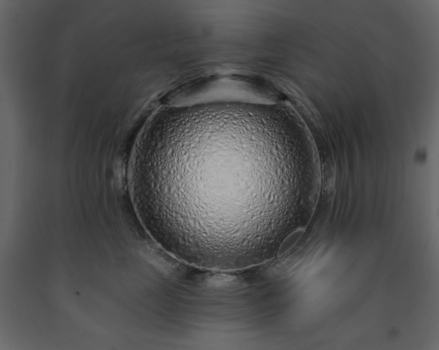 X0000091530669200708241713