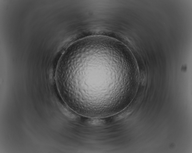 X0000091530670200708241713