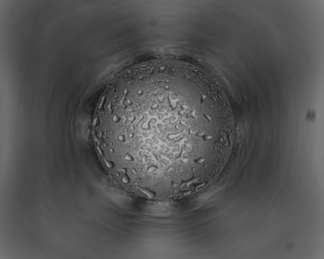 X0000091530671200708241713