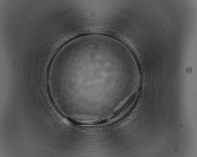 X0000091530673200708241712