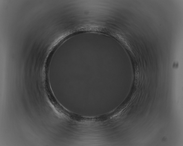 X0000091530674200708241712