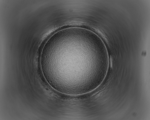 X0000091530675200708241712