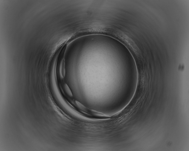 X0000091530677200708241712