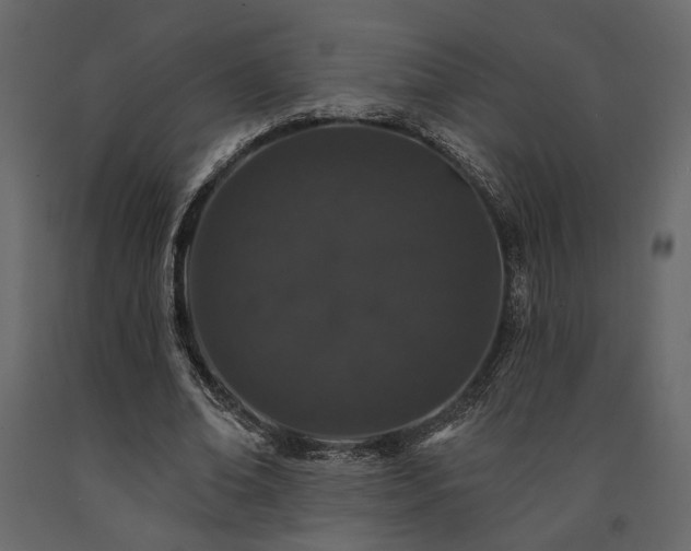 X0000091530678200708241712