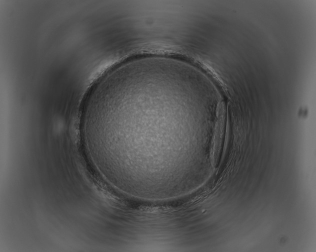 X0000091530679200708241712