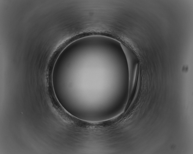 X0000091530680200708241712