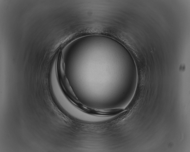 X0000091530681200708241712