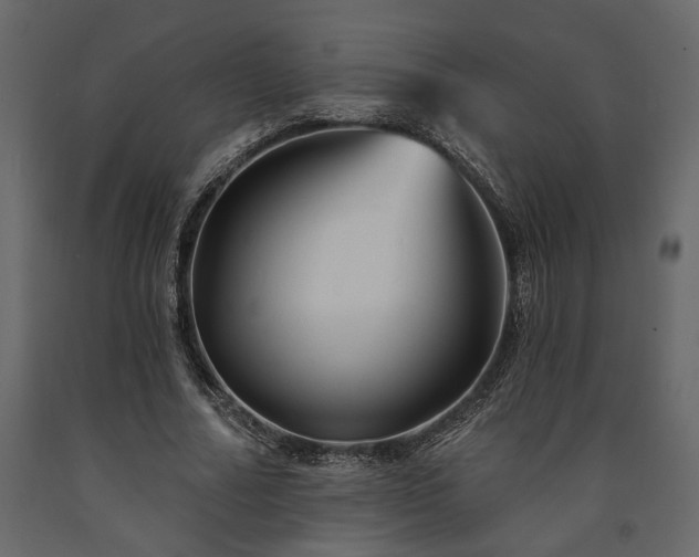 X0000091530682200708241712