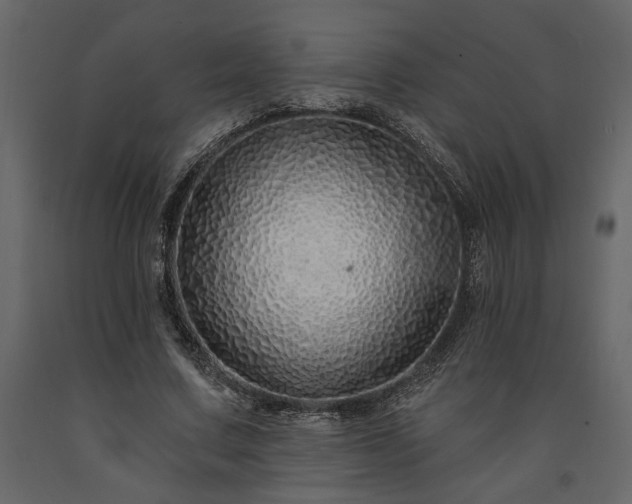 X0000091530683200708241712