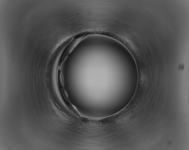 X0000091530684200708241712