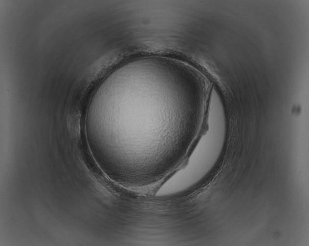 X0000091530685200708241712