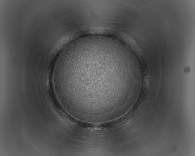 X0000091530687200708241712