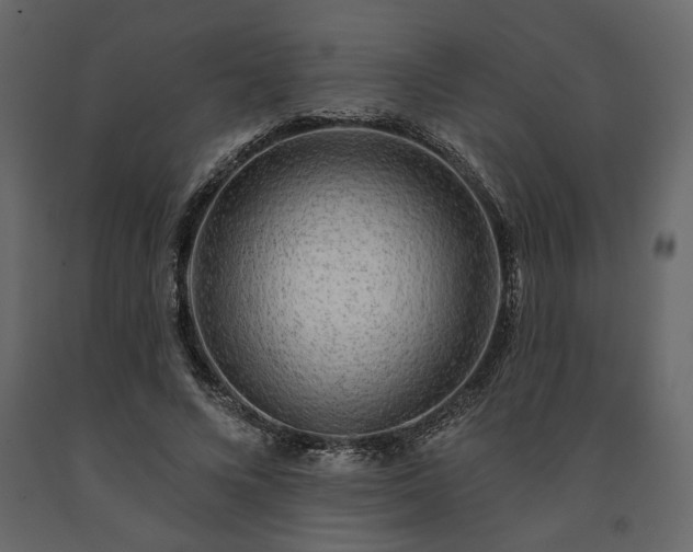 X0000091530688200708241712