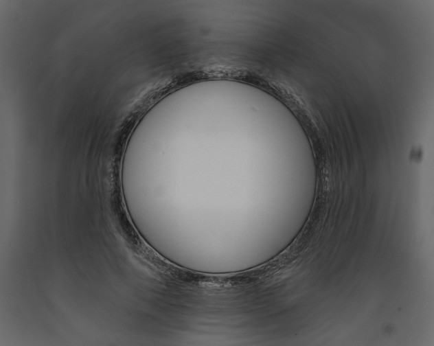 X0000091530690200708241712