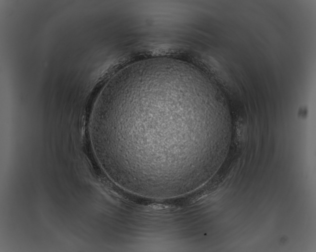 X0000091530691200708241712