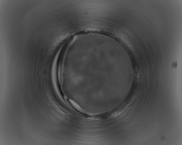 X0000091530692200708241712
