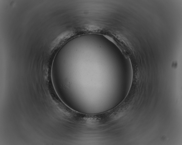 X0000091530693200708241712