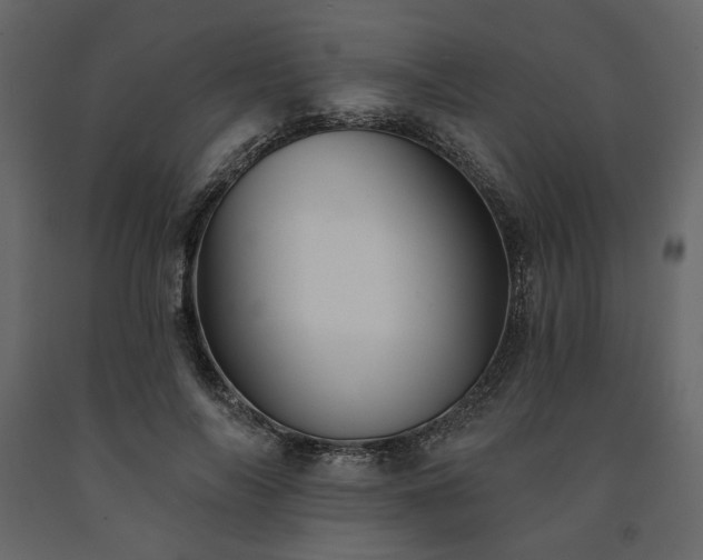 X0000091530694200708241712