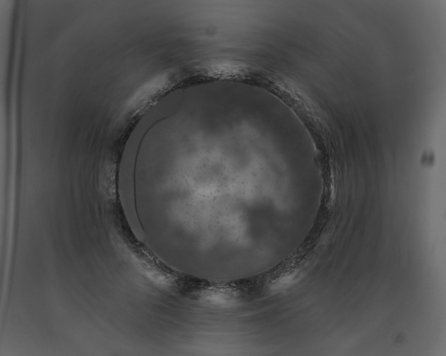 X0000091530696200708241712