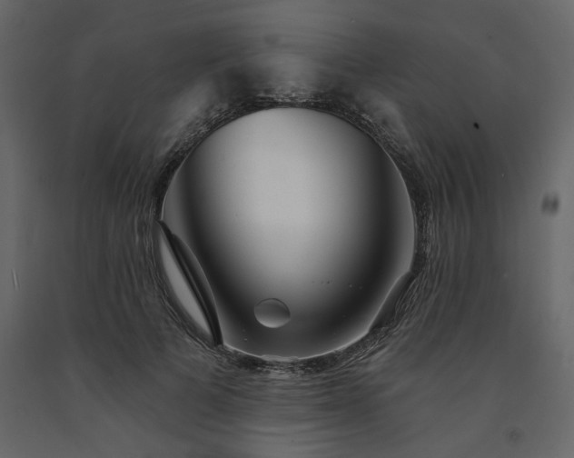 X0000091530697200708241712