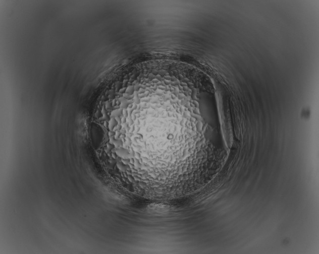 X0000091530699200708241712