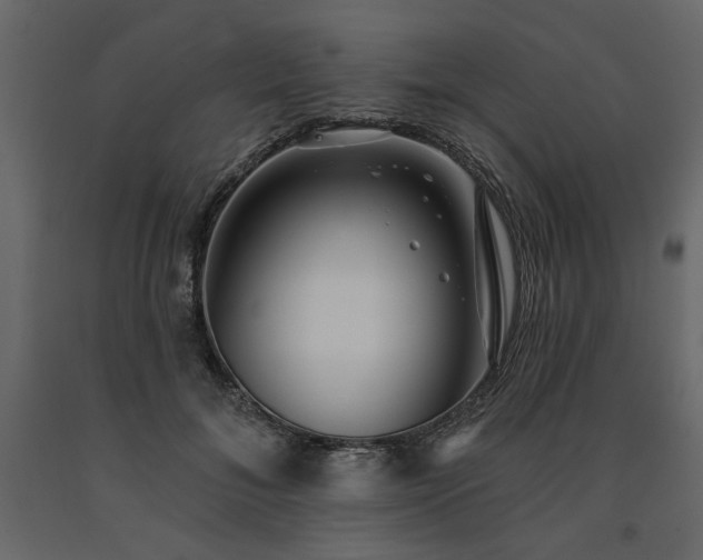 X0000091530700200708241712