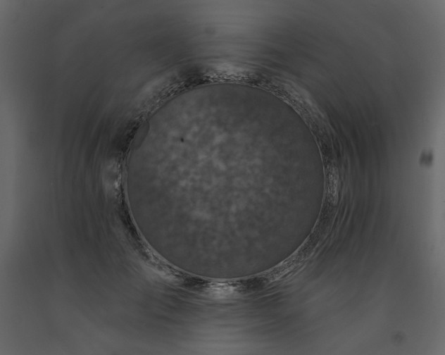 X0000091530701200708241712