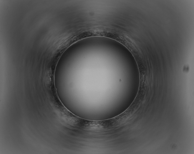 X0000091530702200708241712