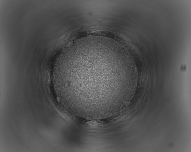 X0000091530703200708241712