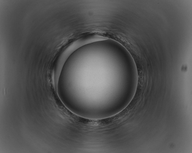 X0000091530704200708241712