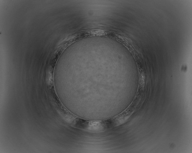 X0000091530705200708241712