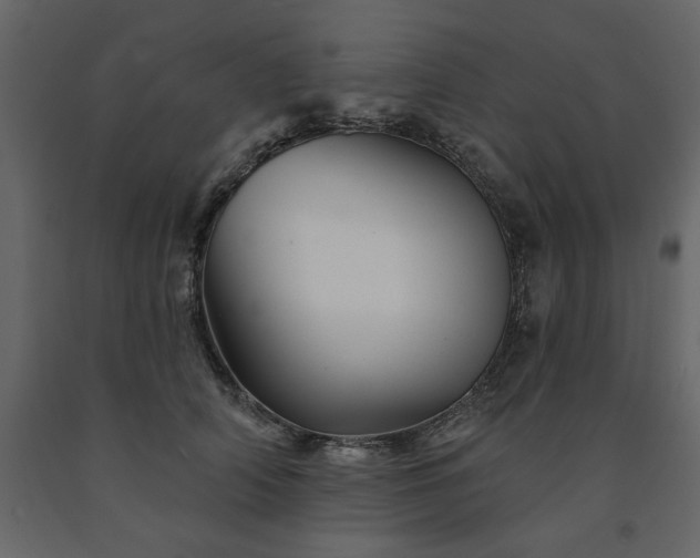 X0000091530706200708241712