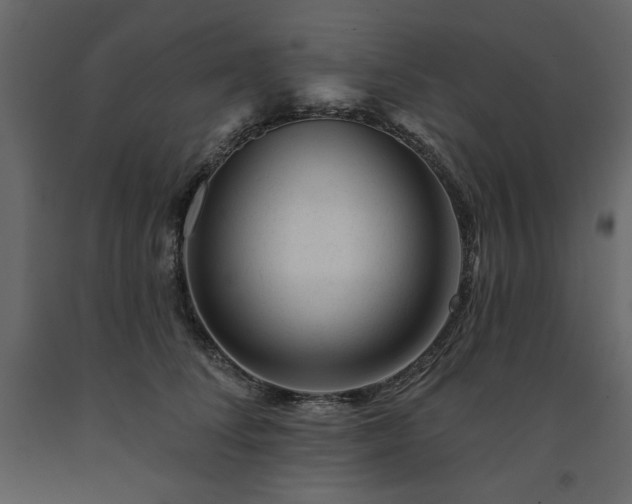 X0000091530708200708241712
