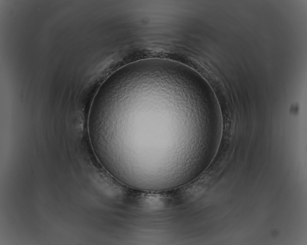 X0000091530710200708241712