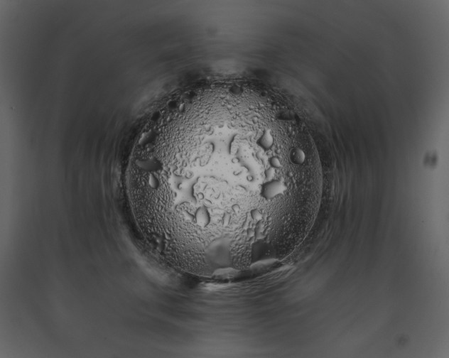 X0000091530711200708241712