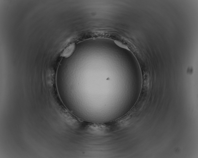 X0000091530712200708241712