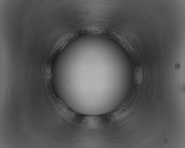 X0000091530713200708241712