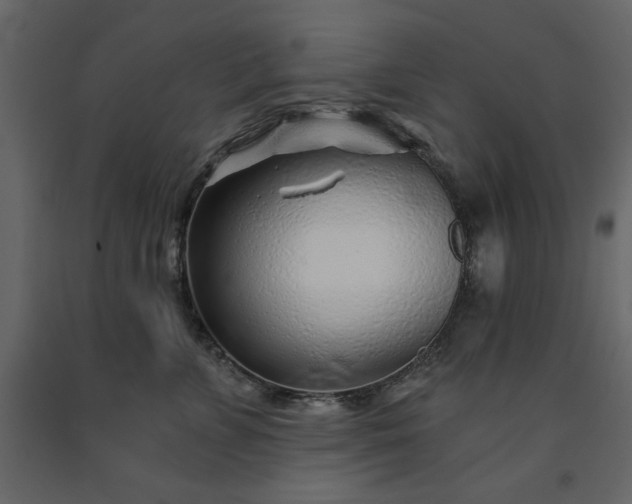 X0000091530715200708241712
